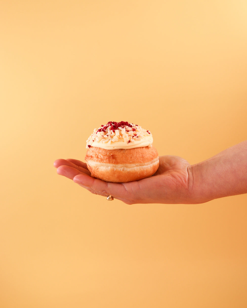 Piccolo Morso Bakery New Plymouth Piccolo Morso Bakery